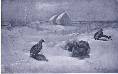 Partridges in the snow